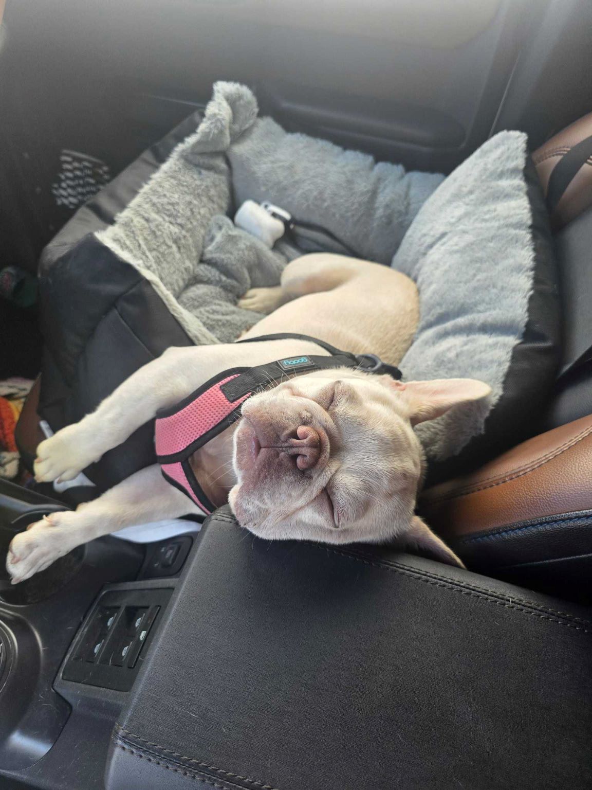 What Makes Our Board and Train Different